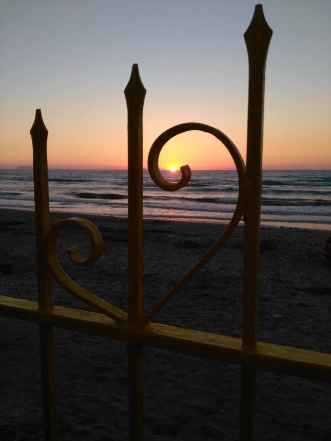 Nikotsaras Beach House Since 1930 アカラヴィ エクステリア 写真